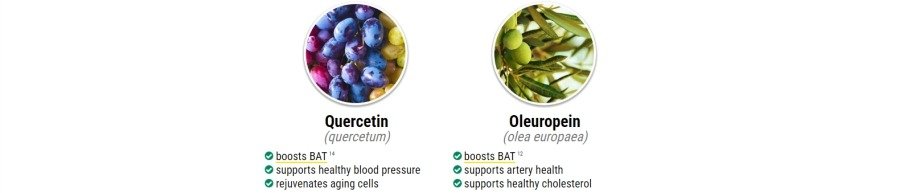weight-loss-supplement