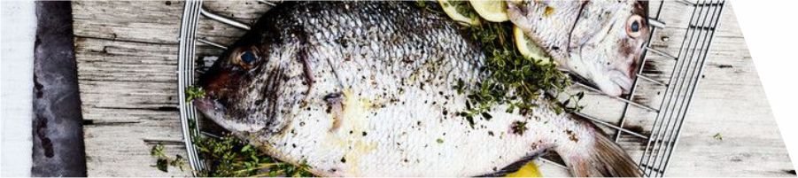 thyme-fish