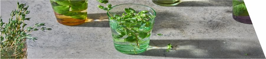 thyme-tea