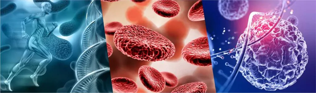 Natural Supplements for Longevity | The 13 Hidden Secrets 5 antioxidants-and-longevity