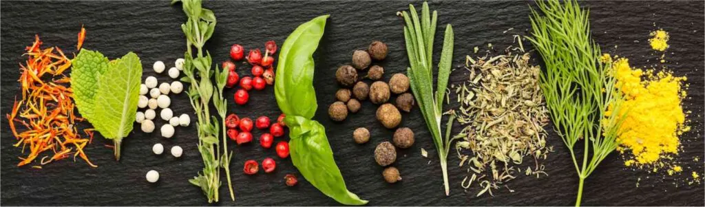 Natural Supplements for Longevity | The 13 Hidden Secrets 4 herbs-and-medicinal-plants-for-longevity