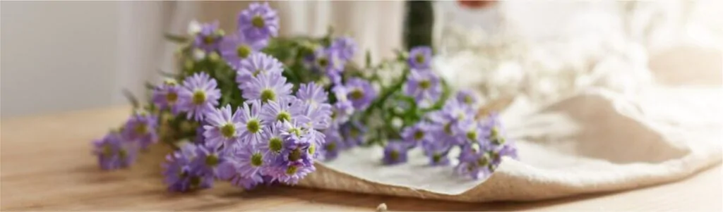 Valerian Consumption: Navigating In 7 Forms For Optimistic Health 4 valerian-supplements