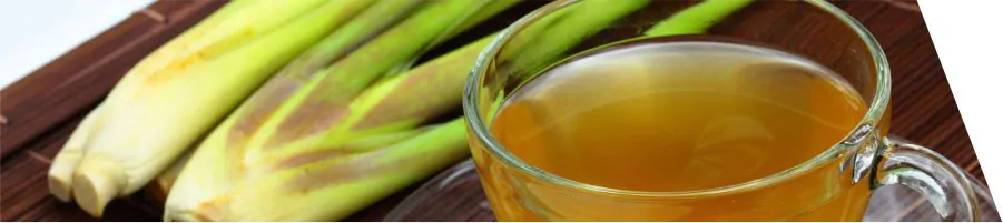 Lemongrass Euphoric | 15 Recipes for Culinary Nirvana 1 lemongrass-tea