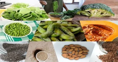 Methionine Mastery: 10 Plant Powered Sources for a Balanced Diet