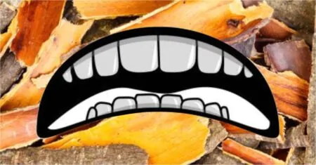 The Unbelievable Truth About Buckthorn Hidden by Big Pharma!