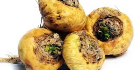 Maca Root Marvels: Over 10 Potent Recipes for Powerful